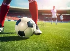 香港启德体,育园夏日足,球盛事,pg游戏官网登录入口,PG电子最新官网,pg游戏官网登录入口,pg电子游戏app