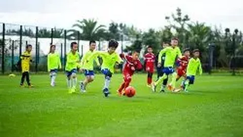 多特蒙德欧冠逆袭成功，阿莱关键转身射门扳平比分